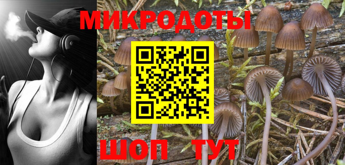 Псилоцибиновые грибы Cubensis  Галлюциногенные грибы прущие грибы  Ставрополь  Вход с VPN 