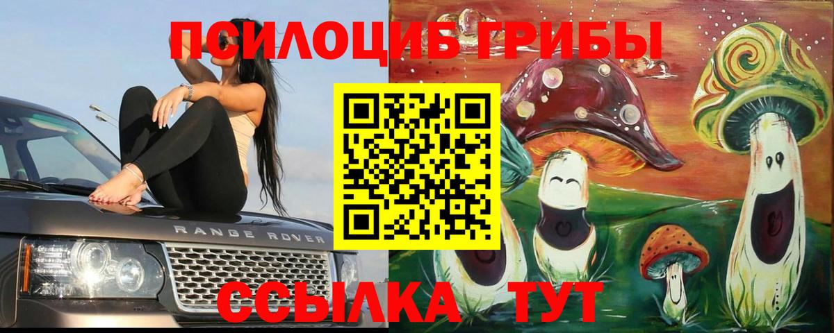 Псилоцибиновые грибы прущие грибы Ставрополь